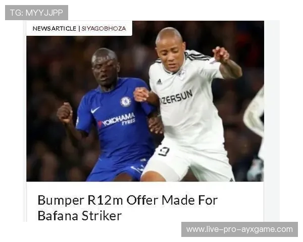 “萨尔·巴赫的战术眼光：南非羚羊队的智囊人物”